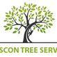 Tucson Tree Services in Tucson, AZ Tree Services