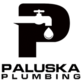 Paluska Plumbing in Peoria, IL Business Services