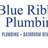 Blue Ribbon Plumbing LLC in Myrtle Beach, SC 29579 Plumbing Contractors