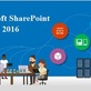 Computer Software in Denver, CO 80022