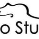 Attila Szasz Cello Studio in Cary, NC Musical Equipment Repair Sales & Service