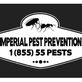 Imperial Pest Prevention in New Smyrna Beach, FL Disinfecting & Pest Control Services