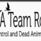 A Team Raccoon, Wildlife Removal, Trapping & Attic Services in Southwest - Anaheim, CA Animal Removal Wildlife