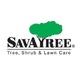 Savatree - Tree Service & Lawn Care in Middleton, MA Lawn & Tree Service