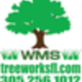 WMS Tree Service in Cutler Bay, FL Tree Services