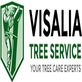 Visalia Tree Service Pros in Visalia, CA Tree Service Equipment