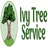 Ivy Tree Service in Apache Junction, AZ