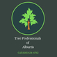 Tree Professionals of Alburtis in Alburtis, PA Tree Service
