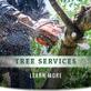 Tree Service in Lasvagas in Downtown - Tampa, FL Home & Garden Products
