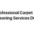 Professional Carpet Cleaning Services DC in Washington, DC
