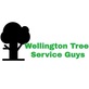 Tree Services in Wellington, FL 33414