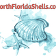 North Florida Shells in Lake City, FL Shopping & Shopping Services