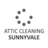 Attic Cleaning Sunnyvale in Sunnyvale, CA