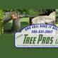 Tree Pros in Remlap, AL Stump & Tree Removal