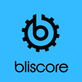 Bliscore in Lower West Side - Chicago, IL Computer Software & Services Business