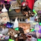 Banquet, Reception, & Party Equipment Rental in Business District - Irvine, CA 92606