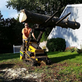 Todd's Tree Service in Derry, NH Tree Services