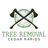 Cedar Rapids Tree Removal in Cedar Rapids, IA