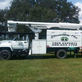 Branching Out Tree Experts in Florahome, FL Tree Services