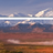 Alaska Fly Fishing Lodge - www.wildernessplacelodge.com in Spenard - Anchorage, AK 99502 Fishing & Hunting Guide Services