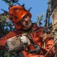 Above All Trees in Hood River, OR Tree Services