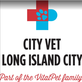 VitalPet - City Vet in Long Island City, NY Animal Hospitals