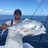 Shake N Bait Charters in Islamorada, FL