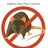 Mighty Men Pest Control in Haywood Park - San Mateo, CA