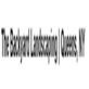 The Backyard Landscaping | Queens, NY in Queens Village, NY