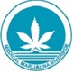 Medical Marijuana Card Riverside in Riverside, CA Alternative Medicine