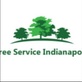 Lawn & Tree Service in Indianapolis, IN 46260