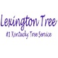 Green Tree Service - Lexington in Lexington, KY Tree Services