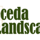 Breceda Landscape in Sorrento Valley - San Diego, CA Landscaping