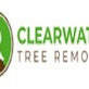 Clearwater Tree Removal in Clearwater, FL Lawn & Tree Service