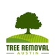 Tree Removal Austin in South Lamar - Austin, TX Lawn & Tree Service