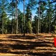 Wades Land Management in Evans, GA Tree Service Equipment