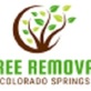 Colorado Springs Tree Removal in Northeast Colorado Springs - Colorado Springs, CO Lawn & Tree Service