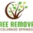 Colorado Springs Tree Removal in Northeast Colorado Springs - Colorado Springs, CO