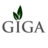 GIGA Solutions in Boca Raton, FL