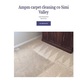 Ampm Carpet Cleaning CO Simi Valley in Simi Valley, CA Carpet Cleaning & Dying
