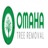 Omaha Tree Service in Omaha, NE