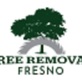 Raleigh Tree Removal in Falls Of Neuse - Raleigh, NC Lawn & Tree Service