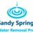 Sandy Springs Water Removal Pros in Sandy Springs, GA