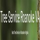 Tree Services in Roanoke, VA 24016