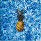 Pool Service Temecula in Temecula, CA Swimming Pools Service & Repair