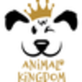 Animal Kingdom Grooming & Daycare in Michael Way - Las Vegas, NV Pet Grooming Instruction