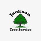 A1 Tree Service Jackson in State Capitol - Jackson, MS Tree Services