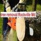 David and Son Tree Service in Rockville, MD Tree Services