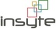 Insyte Consultancy Services in Riverwoods, IL Internet Services Software & Design