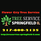 Flower City Tree Service in Springfield, IL Tree Services